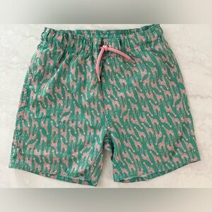 Boys Class/Club Giraffe Swim Trunks EUC